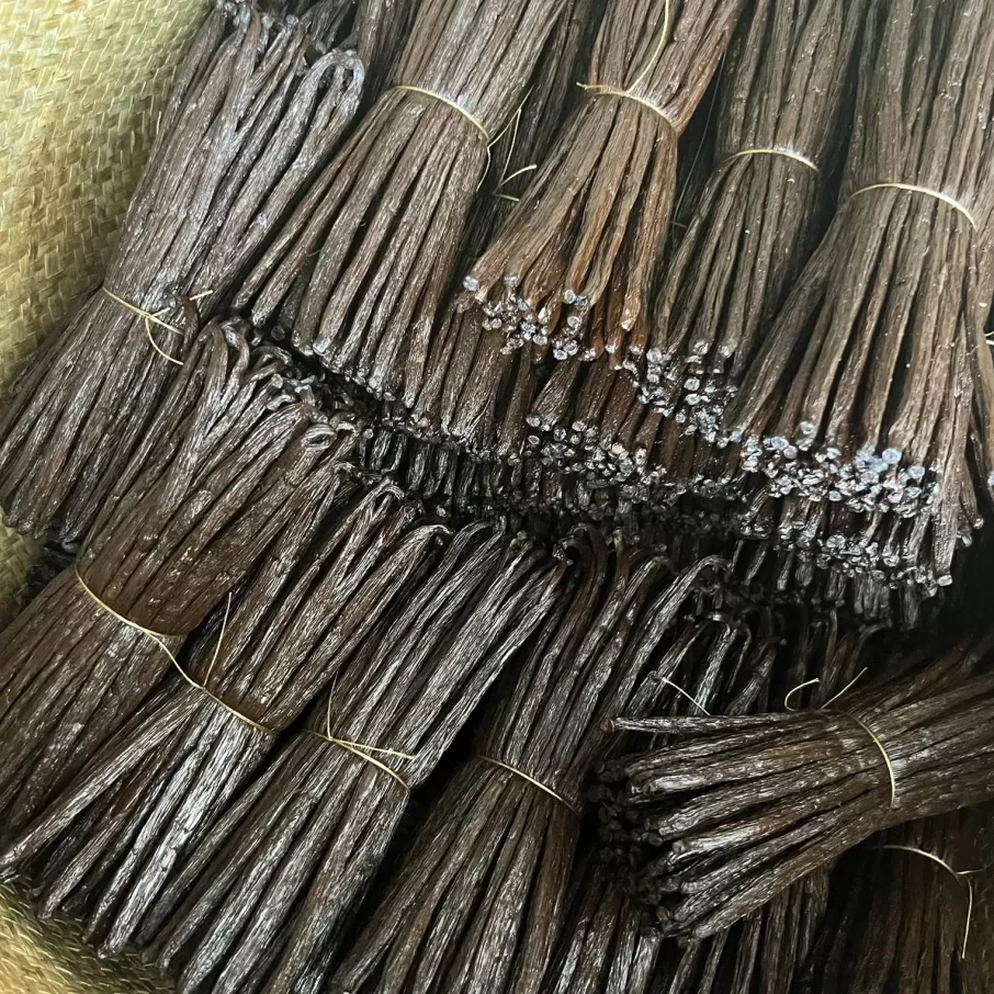 Gousse de vanille TK de Madagascar, plus sèche et idéale pour une conservation prolongée, offrant un arôme raffiné pour les professionnels.