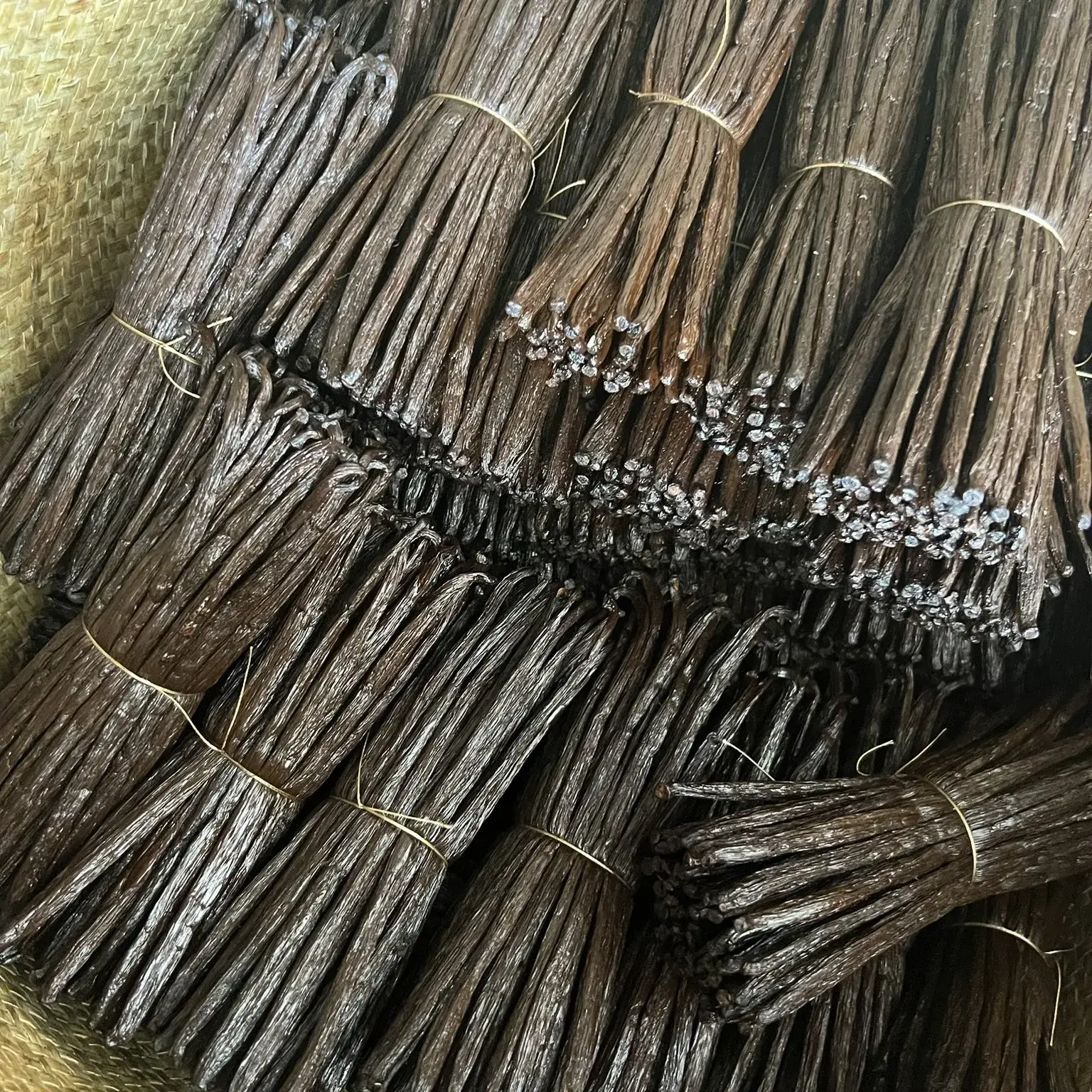 Vanilla beans: origin, characteristics and how to use them Gousse de vanille TK de Madagascar, plus sèche et idéale pour une conservation prolongée, offrant un arôme raffiné pour les professionnels.
