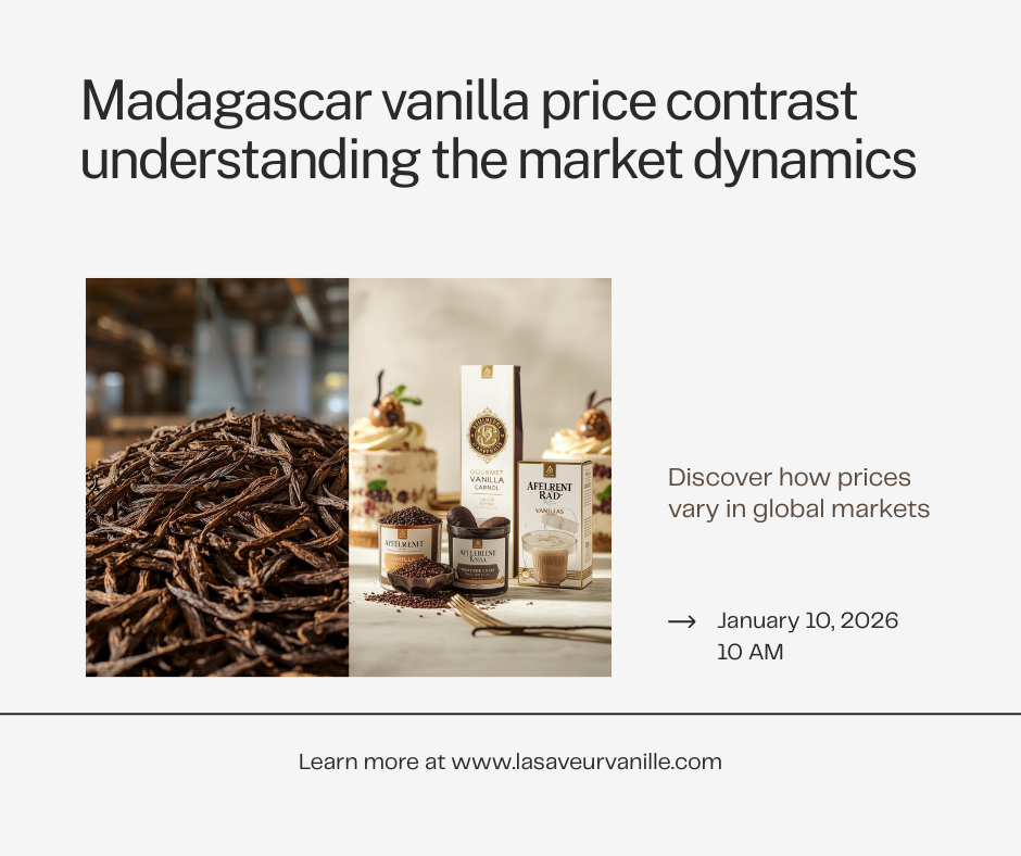 Madagascar vanilla: The striking contrast between $60 export prices and €2,000 market headlines. vanilla price contrast