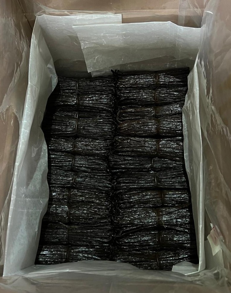 vanille noire gourmet dans un carton export